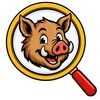 hogfinds